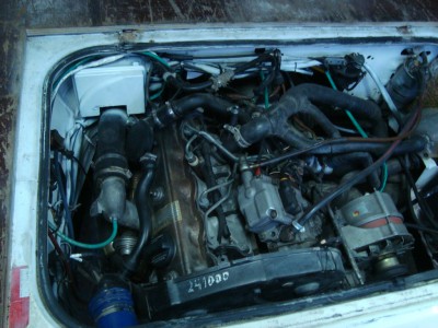 Picture 132.jpg