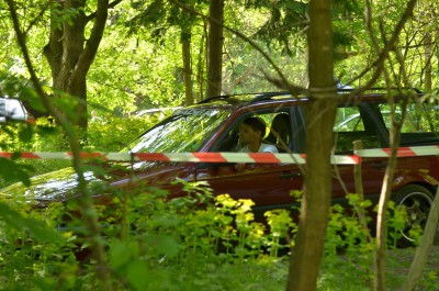 DSC_7133.JPG