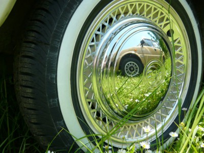 vw5.jpg