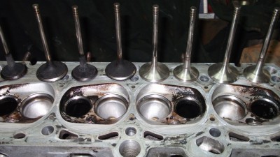 DSCF0445.JPG
