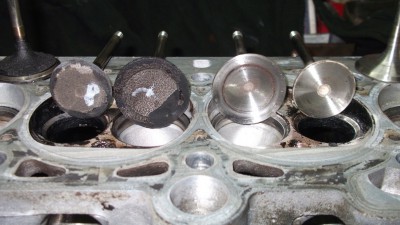 DSCF0446_.jpg