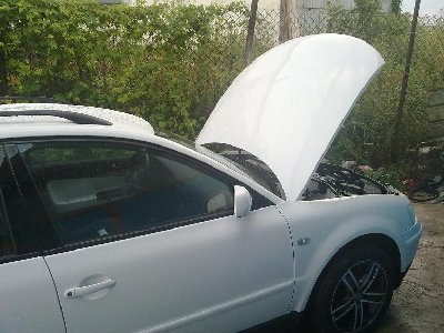 28062009048.jpg