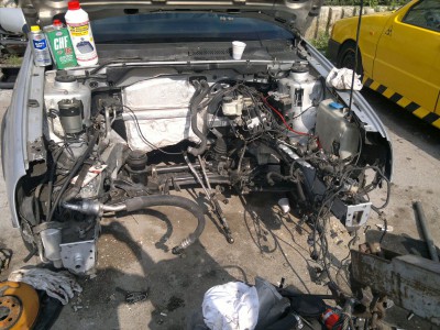 2012-06-01-207_1.jpg