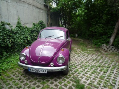 P1010255.JPG