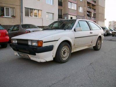 ALIM4135.JPG
