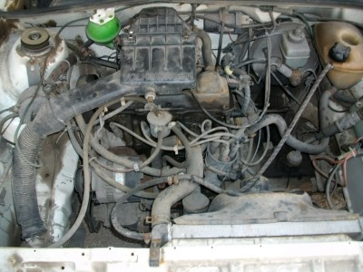 ALIM4125.JPG