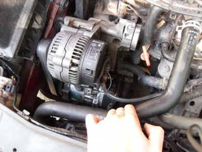 SAM_4075 (912 x 684).jpg