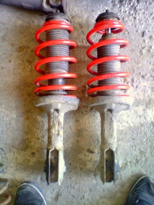 IMG0515A.jpg