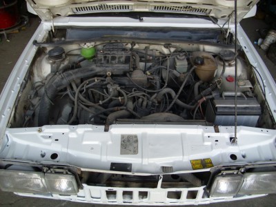 DSCI0169.JPG