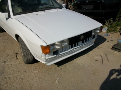 ALIM4342.JPG