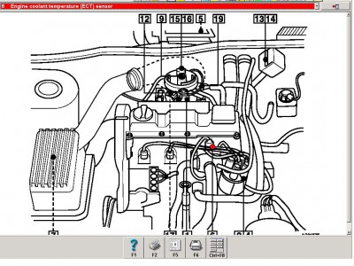 ECT sensor.JPG