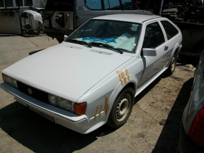 ALIM4390.JPG