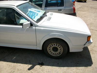 ALIM4395.JPG