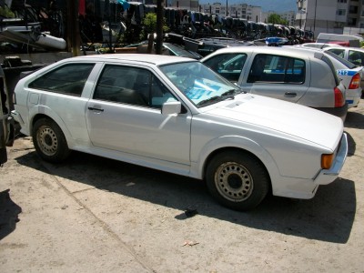 ALIM4389.JPG