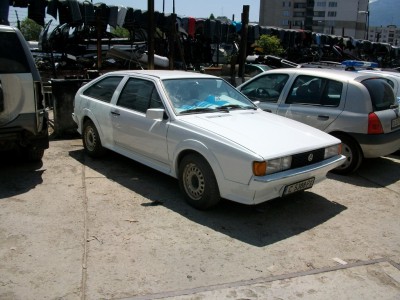 ALIM4388.JPG