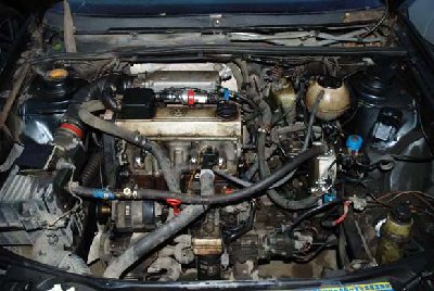 DSC_0294[1].jpg