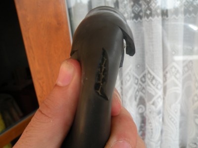 DSCN8901.JPG