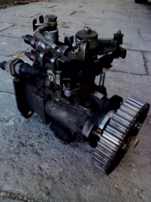 IMG_20120901_133553.jpg