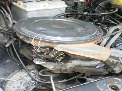 IMGP6208.jpg