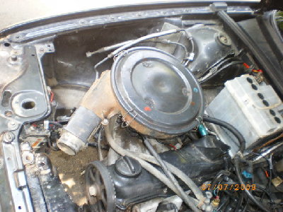 IMGP6209.jpg