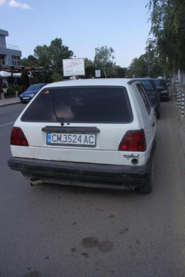 zadnica.jpg