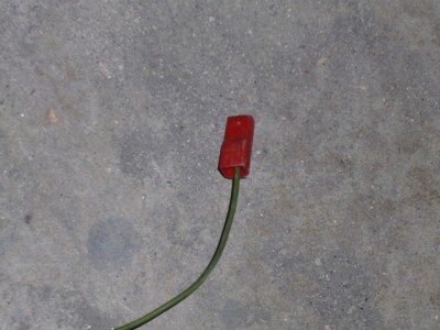 P1020118.JPG