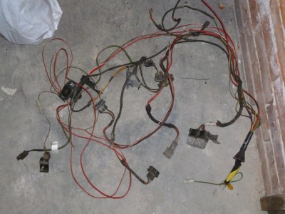 P1020120.JPG