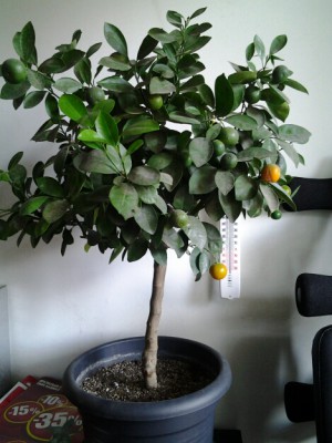 20121014_113957а.jpg