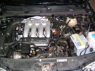 202840186-w988.jpg