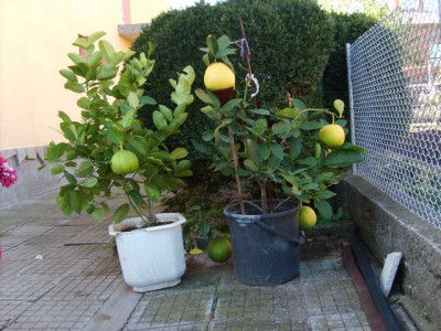 S5000149.JPG