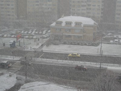IMG_3700.JPG