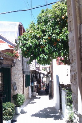 IMAG0426.jpg
