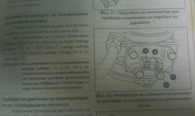 IMAG0054.jpg