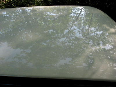 Picture 006.jpg