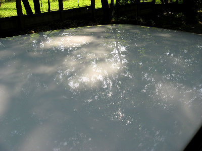 Picture 019.jpg