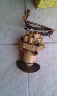 IMAG0147S.jpg
