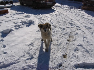Picture 08.jpg