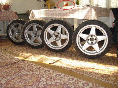 029438581-big.jpg