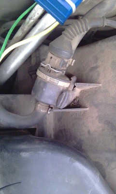 IMAG0153_1.jpg