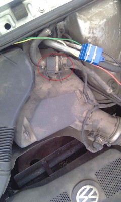 IMAG0154_1.jpg