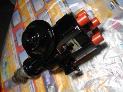 IMGP9225.jpg