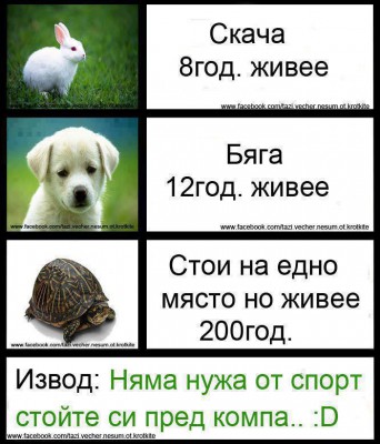 207300_10152578007600114_1682587008_n.jpg