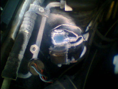 IMG0216A.jpg