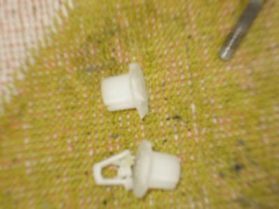 DSC02548.JPG