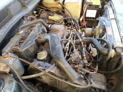 20130301_171036.jpg