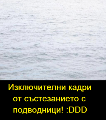 5308_507399619295221_1021216819_n.png