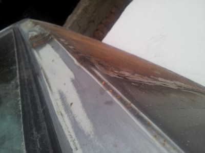 20130405_141158.jpg