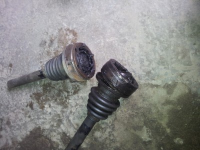 20130408_121645.jpg