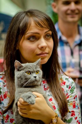 catz.jpg