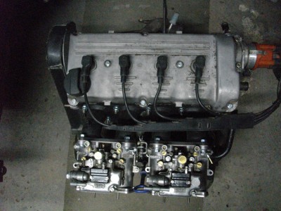 IMGP9141.JPG